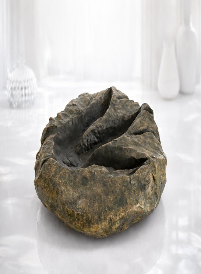 VEOJEIN Jurassic Dinosaur Footprint Fossil Replica – Realistic Resin Track Cast, Prehistoric Fossil Stone Décor Ancient Gift, Catch-All Tray for Keys Coins Jewelry – Home Shelf Decor 10.5" x 9.3" - Image 3