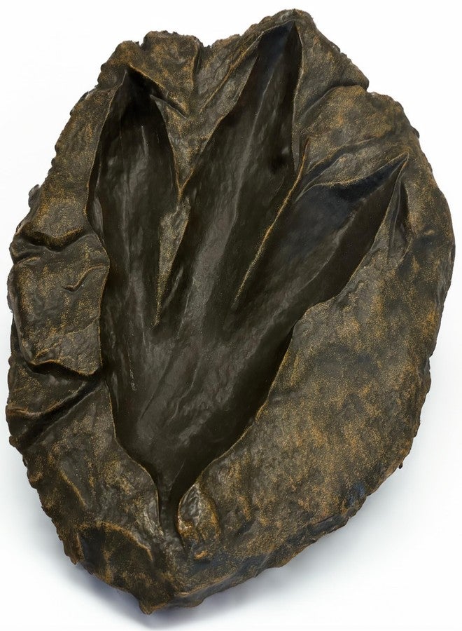VEOJEIN Jurassic Dinosaur Footprint Fossil Replica – Realistic Resin Track Cast, Prehistoric Fossil Stone Décor Ancient Gift, Catch-All Tray for Keys Coins Jewelry – Home Shelf Decor 10.5" x 9.3" - Image 1