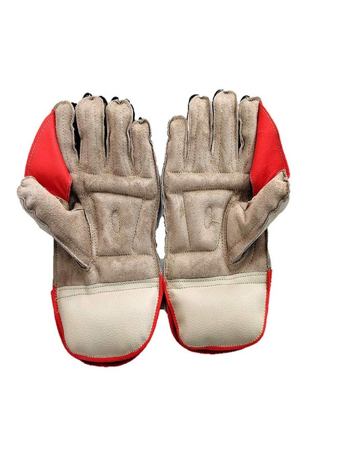JetFire Cricket Practice Wicket Keeping Gloves (Colour May Vary) Material: PU - Image 4