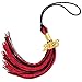 ZYLOP 2026 Graduation Tassel Graduation Tassel Red Black 2026 Grad Cap Tassels for Graduate Cap Hat Decorations with 2026 Year Gold Charm for Graduations Ceremonies Accessories - Image 2