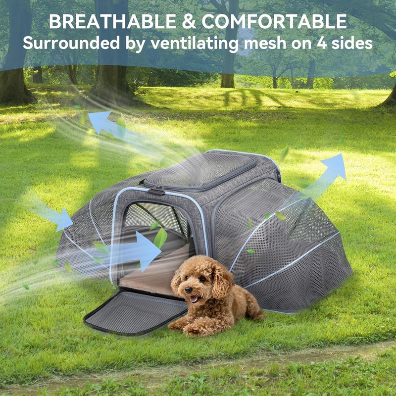Petsfit Foldable Cat and Dog Transport Bag, Expandable Cat Transport Box with Shoulder Strap, Dog Carrier, Flight Bag, Oxford Fabric for Cats and Dogs, M/Grey/Double-Sided - Image 3