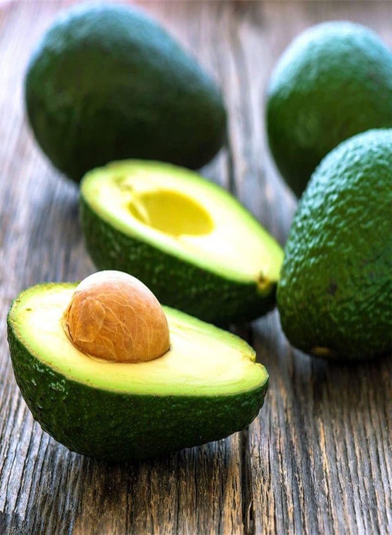 جي جوت 20 قطعة من بذور الأفوكادو، فاكهة نادرة ذات قشرة خضراء غريبة مناسبة للزراعة في الدفيئة على مدار العام، سهلة العناية، استمتع بمتعة الحصاد - Image 1