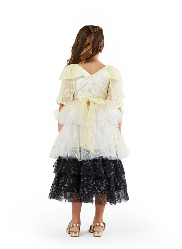 Amri Multi shaded Tulle Layered Frock