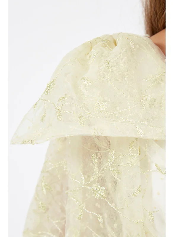 Amri Multi shaded Tulle Layered Frock