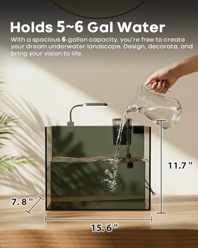 Wonderfactory 5 Gallon Small Aquarium Set Glass Fish Tank 6 Gallon, Starter Kit with Heater Water Pump Cleaning System Filter Bright Light Rocks Gravel Cleaning Tool, Clear Rimless Betta Plants - Image 3