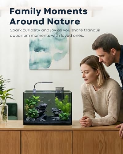 Wonderfactory 5 Gallon Small Aquarium Set Glass Fish Tank 6 Gallon, Starter Kit with Heater Water Pump Cleaning System Filter Bright Light Rocks Gravel Cleaning Tool, Clear Rimless Betta Plants - Image 4