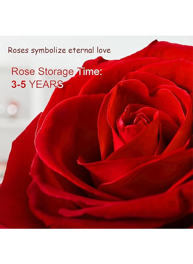 erorex Handmade Eternal Rose With Necklace Preserved Flower With Gold Love Heart Shape Jewelry Valentines Presents Birthday Anniversary Mother Gift Romantic Gifts For Women Mom Grandma Wife Girlfriend  - Image 3