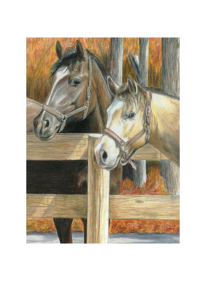 ROYAL BRUSH Color Pencil By Number Kit 8.75 By 11.75Inch Buck'S Pal - Image 2