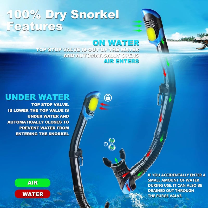 EXP VISION Schnorchelset Schnorchelausrstung fr Erwachsene, Professionelle Anti-Beschlag-Schnorchelmaske, Trockenschnorchel Tauchmaske fr Freitauchen,Schnorcheln,Schwimmen - Image 4