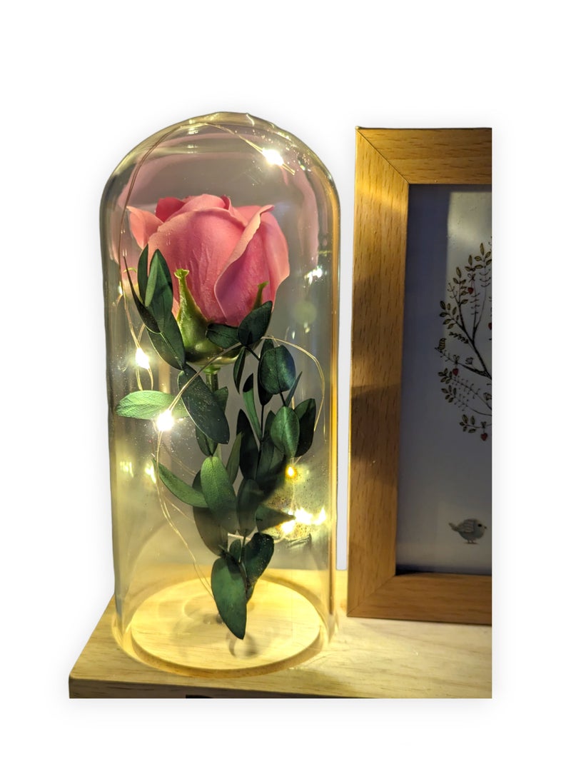 UNT 9cmx13cm Photo Frame With Rose and LED lights in Glass Dome  - Image 3