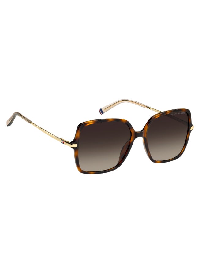 TOMMY HILFIGER إطارات نظارات شمسية تومي هيلفيغر المربعة - Image 2