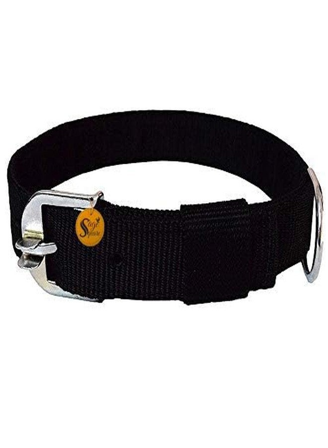 Sage Square Adjustable Bite Proof Nylon Double Strip Collar for Small Dog/Cat/Puppy/Kitten (Random Color, 1 Inches), Dogs, Nylon, (Pack of 1) - Image 5