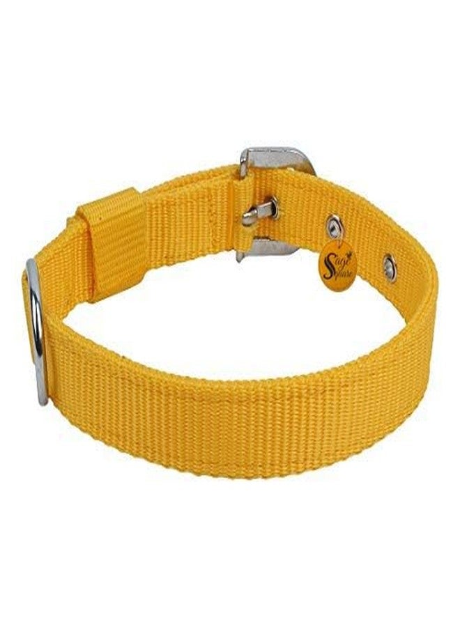 Sage Square Adjustable Bite Proof Nylon Double Strip Collar for Small Dog/Cat/Puppy/Kitten (Random Color, 1 Inches), Dogs, Nylon, (Pack of 1) - Image 4