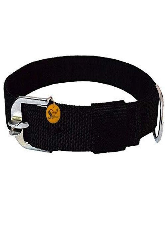 Sage Square Adjustable Bite Proof Nylon Double Strip Collar for Small Dog/Cat/Puppy/Kitten (Random Color, 1 Inches), Dogs, Nylon, (Pack of 1) - Image 3