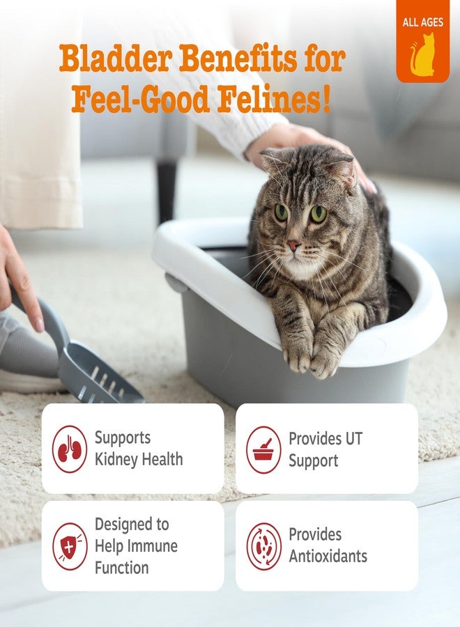 Zesty Paws Cranberry Urinary Tract Bites for Cats - Kidney & Urinary Tract Health - Soft Chews with D-Mannose, Vitamin B6 & L-Arginine - Immune & Gut Support - Bacon - 60 Count - Image 2