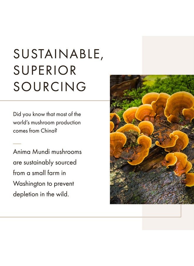Anima Mundi Apothecary - Anima Mundi Adaptogenic Powder Organic Mushroom Superfood Powder For Immune Defense Organic Immune Support Supplement With Reishi Lions Mane Chaga Maitake & Cordyceps Mushrooms (4Oz / 113G) - Image 1