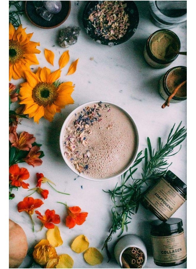 Anima Mundi Apothecary - Anima Mundi Adaptogenic Powder Organic Mushroom Superfood Powder For Immune Defense Organic Immune Support Supplement With Reishi Lions Mane Chaga Maitake & Cordyceps Mushrooms (4Oz / 113G) - Image 1