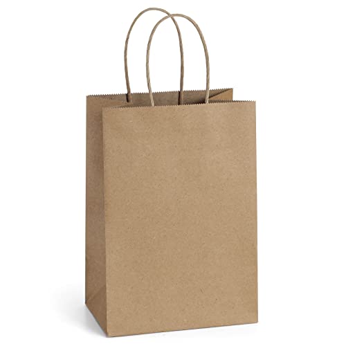 BagDream Gift Bags 100Pcs 5.25x3x8 Small Kraft Paper Gift Bags with Handles Bulk, Brown Paper Sacks for Small Business, Retail, Merchandise, Wedding Birthday Party Favor - Image 1