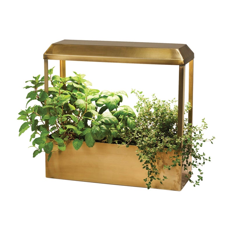Modern Sprout Modern Sprout Smart Growhouse  LED Grow Light for Indoor Plants  Plant Grow Light for Indoor Gardening System  Countertop Planter for Herb Garden with Smart App Control  Brass 