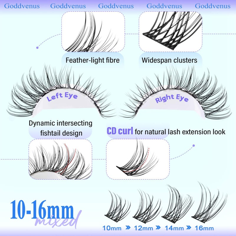 Goddvenus Wispy Lash Clusters 10-16mm Lashes Clusters Eyelash Extensions Natural Individual Lashes 144pcs D Curl Lash Extension DIY Soft Comfortable Eyelash Clusters with Cotton Band - Image 4