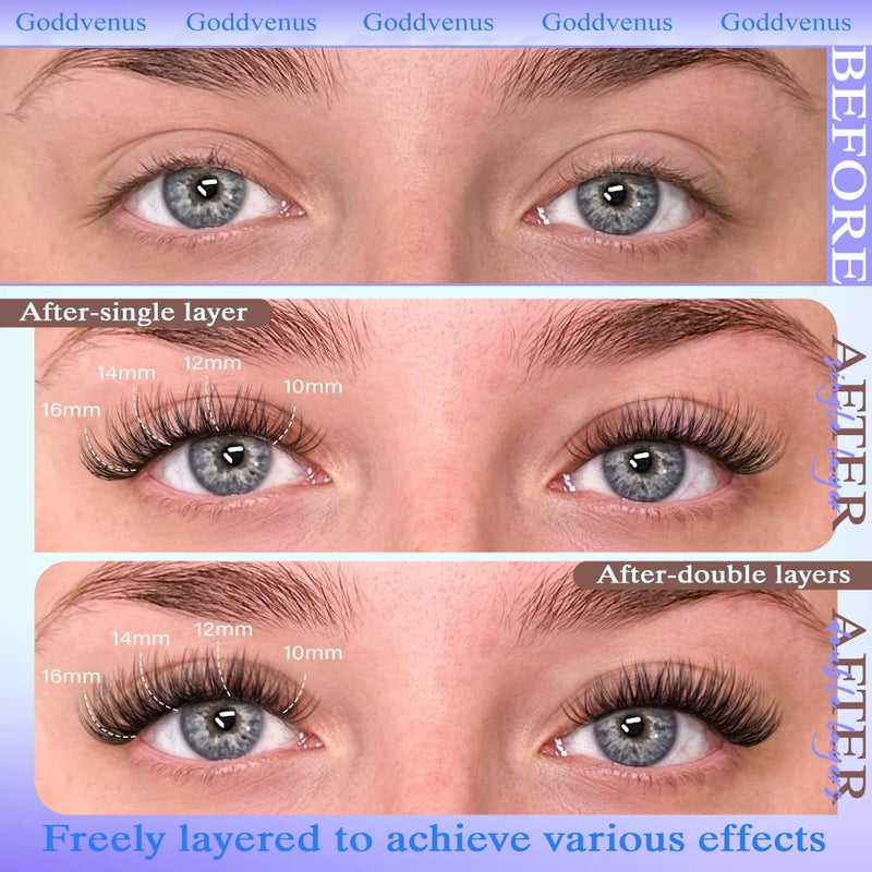 Goddvenus Wispy Lash Clusters 10-16mm Lashes Clusters Eyelash Extensions Natural Individual Lashes 144pcs D Curl Lash Extension DIY Soft Comfortable Eyelash Clusters with Cotton Band - Image 5