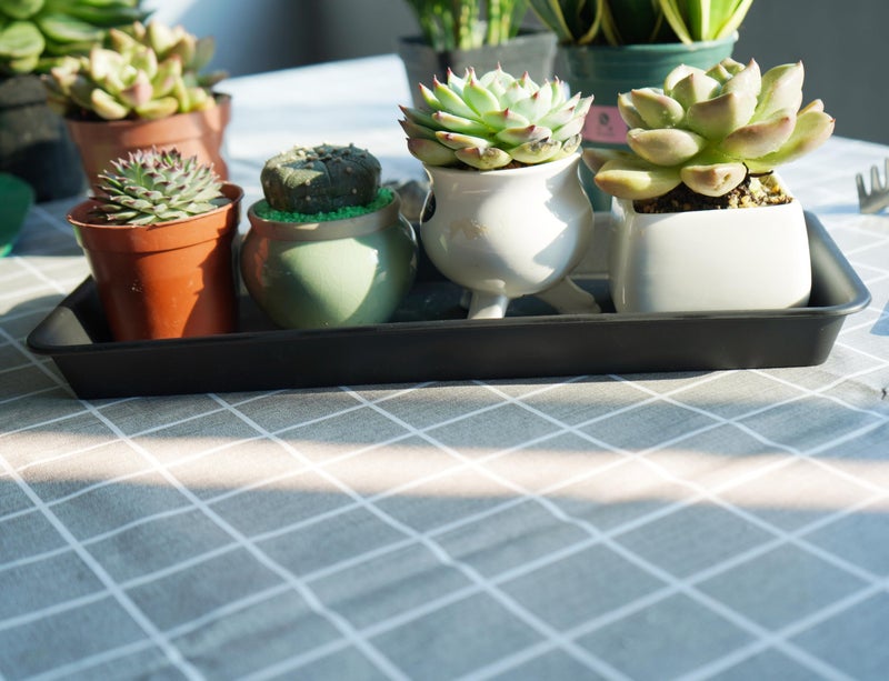 VUWEZ 2 Pack of Plastic Plant Tray Saucer Rectangular 14 inch, Plant Trays Saucers for Indoors Outdoor, Plant Water Drip Tray for Flower Pot Planter, Windowsill Plant Tray (6.8 X 14.5'', Black) - Image 3