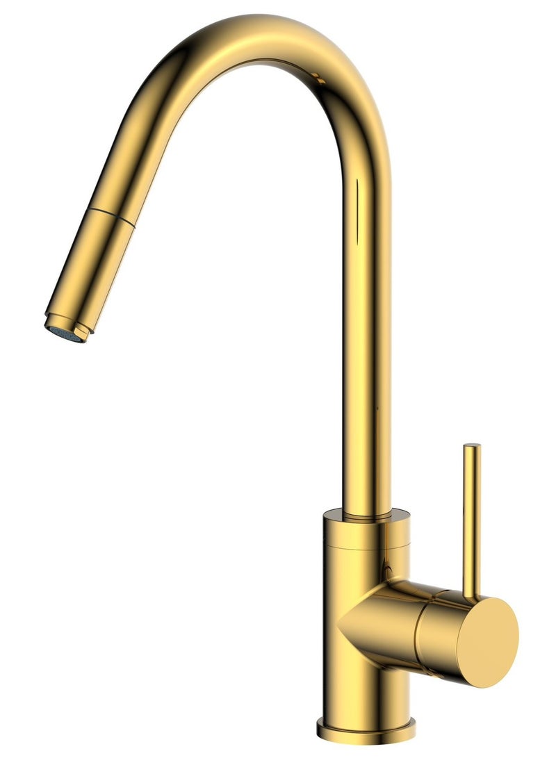 HESANIT Pull Out Sprayer Kitchen Sink Faucet Mixer Gold - 6931G - Image 1