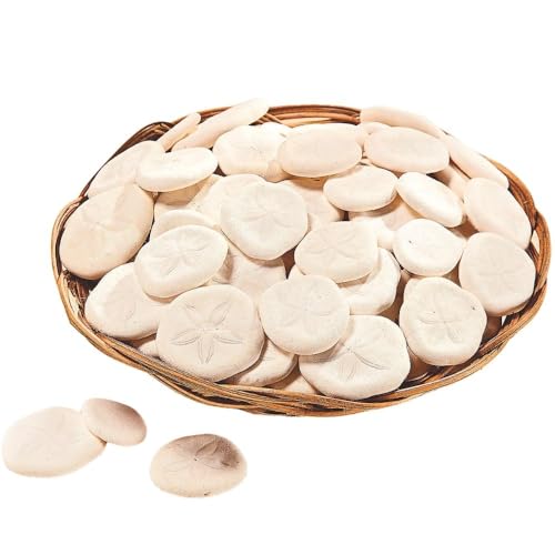 Fun Express Real Sand Dollars Plus Decorative Basket (50 and Dollars) Sea and Ocean Home Décor - VBS Vacation Bible School Supplies/Decor - Image 1