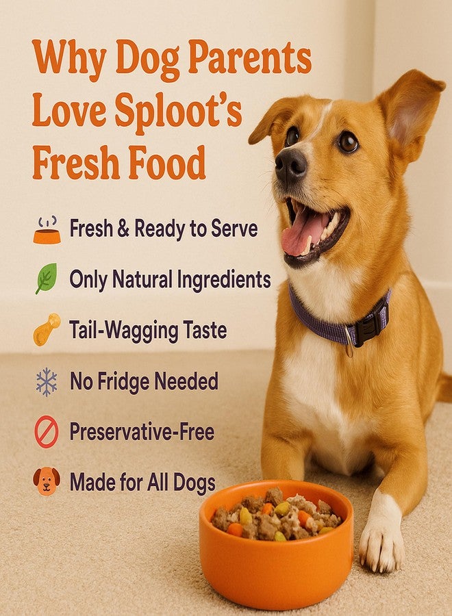 Sploot Punchy Paneer Fresh Pet Food, Healthy, Fresh & No Preservatives, Vegetarian Dog Food Adult & Puppy, High Protein Paneer, for All Life Stages, 200 gm (Pack of 1) - Image 5