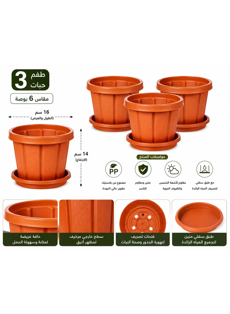 كوزموبلاست أصيص زهور كوزموبلاست سيدرجرين مع صينية، 3 قطعة، 6 بوصة، باللون البني - Image 2