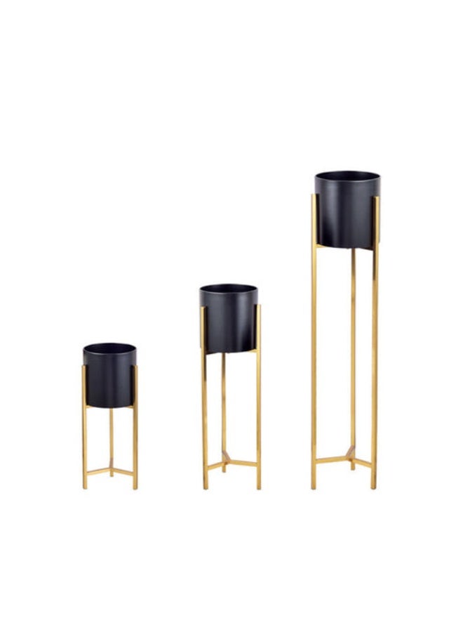 E.V.A Sambucus Planters  - Image 1