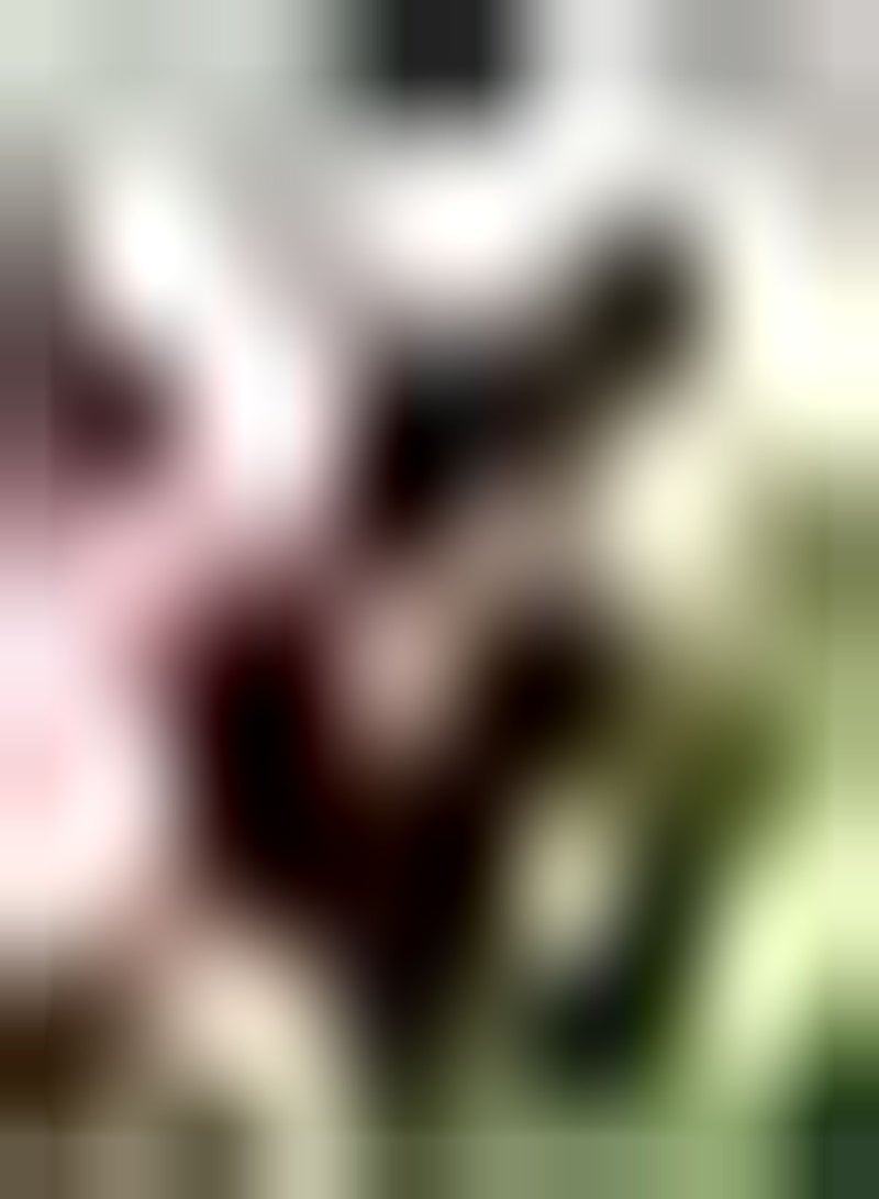 GGOOT 3pcs Paarse Calla Leliebollen Groeien Natuurlijk Buitenterras Trek Passanten aan Door te Waarderen Brengen Gevoel Van Prestatie Calla Bollen - Image 1