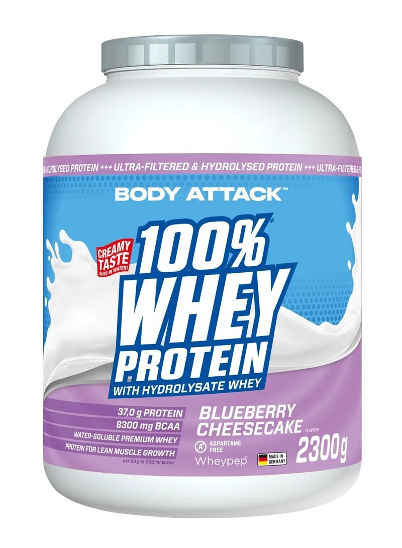 100% Whey Protein 2.3kg Blueberry Cheesecake
