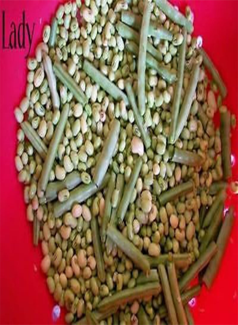 GGOOT Lady Cream pea AKA: Lady Finger Pea, Rice Pea, Catjang Pea Southern (10 Seeds) - Image 3
