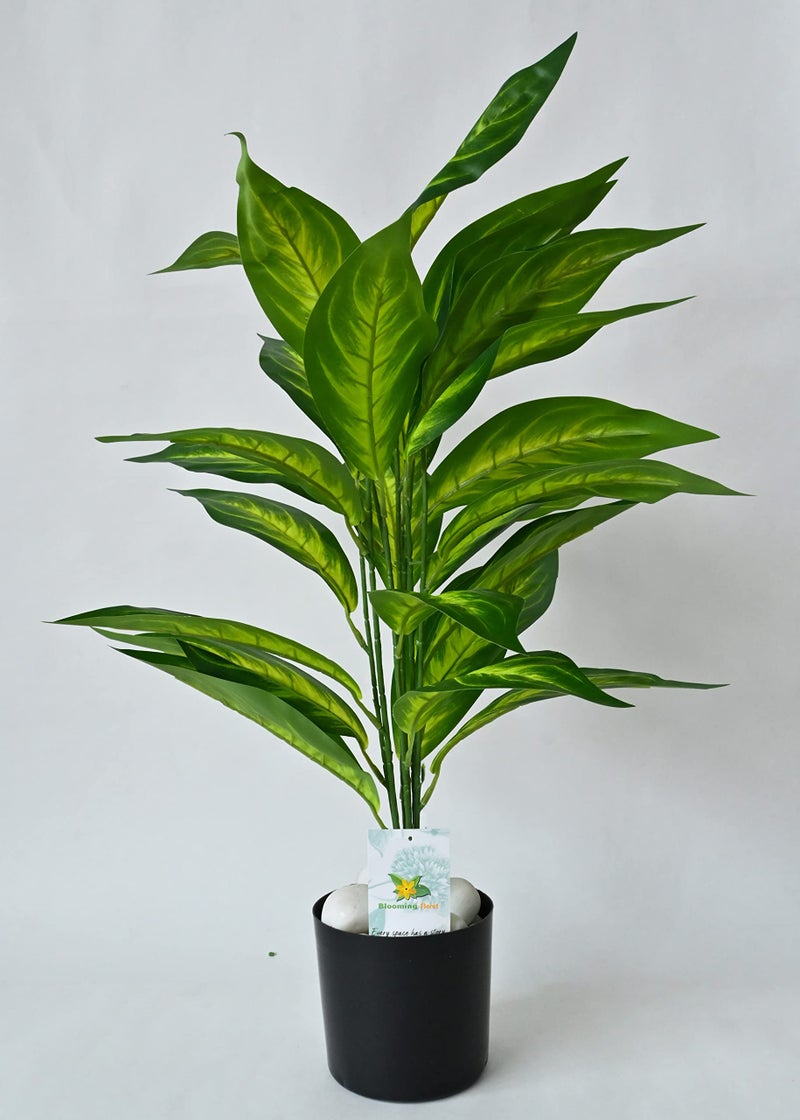 Blooming Floret Polyester Artificial Dieffenbachia Amoena Plant | Big Ornamental Plant for Interior Decor/Home Decor/Office Decor | 26 Leaves with Basic Black Pot | 71.1 cm Tall Indoor Plant - Image 1