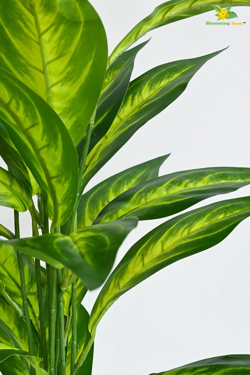 Blooming Floret Polyester Artificial Dieffenbachia Amoena Plant | Big Ornamental Plant for Interior Decor/Home Decor/Office Decor | 26 Leaves with Basic Black Pot | 71.1 cm Tall Indoor Plant - Image 2