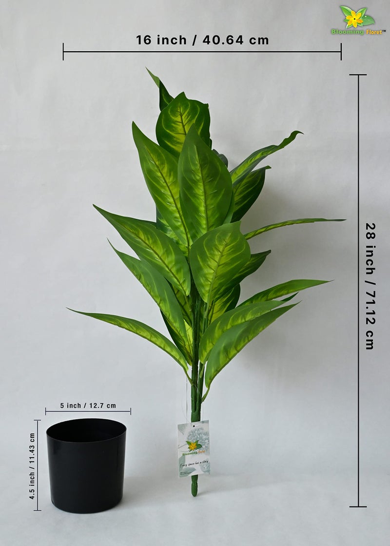 Blooming Floret Polyester Artificial Dieffenbachia Amoena Plant | Big Ornamental Plant for Interior Decor/Home Decor/Office Decor | 26 Leaves with Basic Black Pot | 71.1 cm Tall Indoor Plant - Image 3