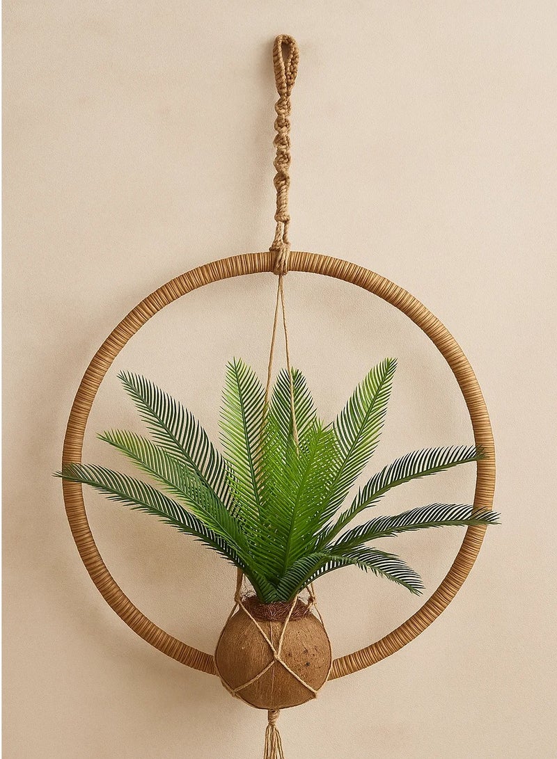 لوفت نخيل، جوز الهند، وعاء معلق، D55XP50CMS، أخضر-179299 - Image 1