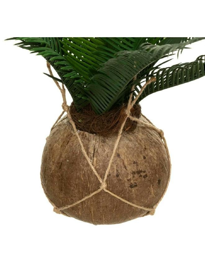 لوفت نخيل، جوز الهند، وعاء معلق، D55XP50CMS، أخضر-179299 - Image 2