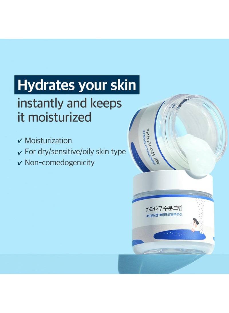 ROUND LAB Birch Juice Moisturizing Cream 2.7 Fl Oz, 48-Hour Deep Hydrating Face Moisturizer with Birch Sap & Vita Hyaluronic Acid for Acne-Prone Skin, Reduces Sebum, Oil, Blackheads, Korean Skin Care - Image 2