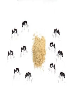 Green River Ant Killing Bait Powder 5gx50 pcs  - Image 3
