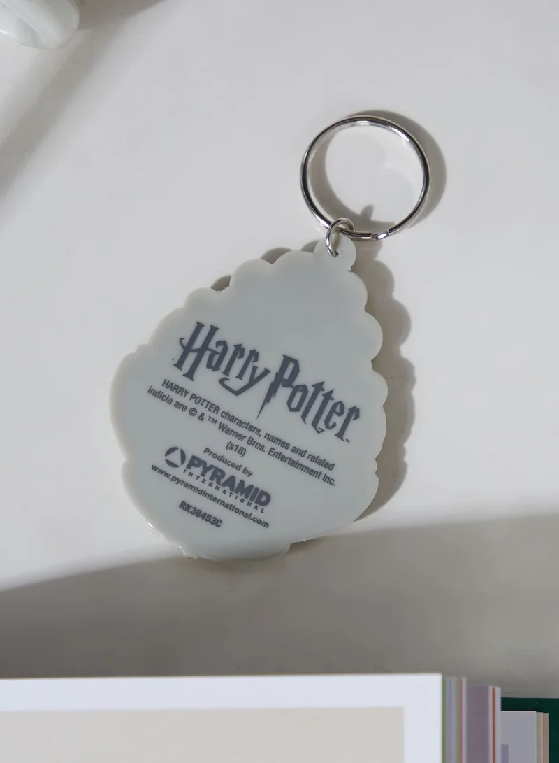 Harry Potter Harry Potter Hogwarts Crest Rubber Keyring