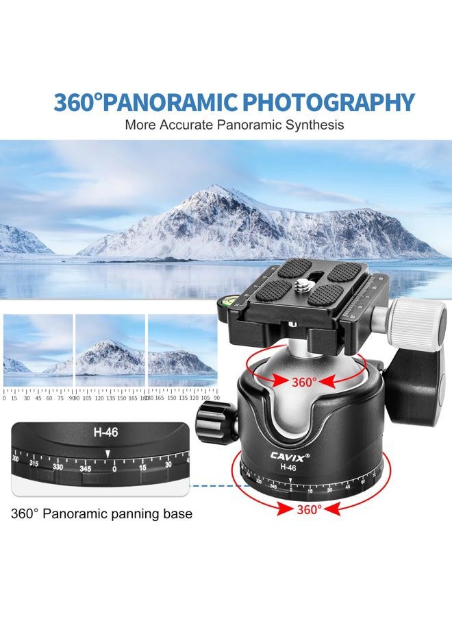 CAVIX Tripod Ball Head, H-46 Metal Ball Head Camera Tripod Head 44lbs/20kg Load with Arca Swiss Quick Release Plate for Tripod, Monopod, DSLR, Camera… - Image 3