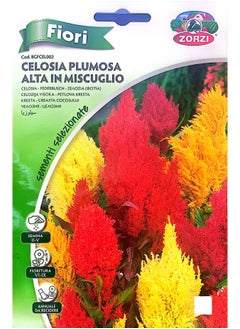 ZORZI CellusiaSeeds 