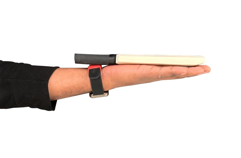 Frixan Show Piece Cricket Bats Miniature Autograph Cricket bat 8 inch Pack of 5 (They Can't be Used for Paying Cricket) - Image 3