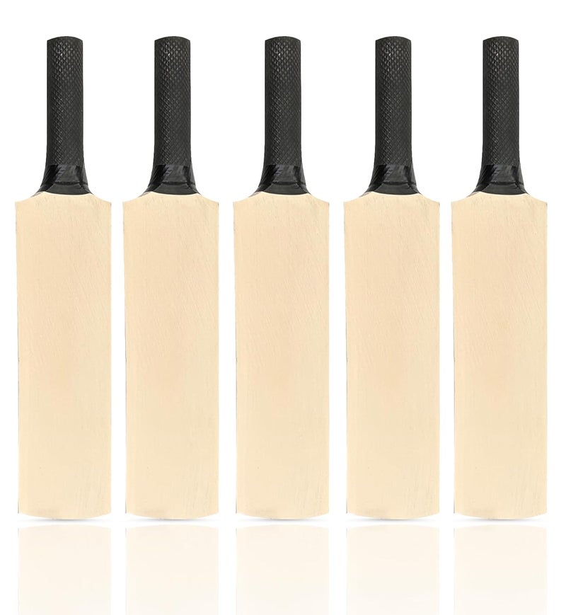 Frixan Show Piece Cricket Bats Miniature Autograph Cricket bat 8 inch Pack of 5 (They Can't be Used for Paying Cricket) - Image 1