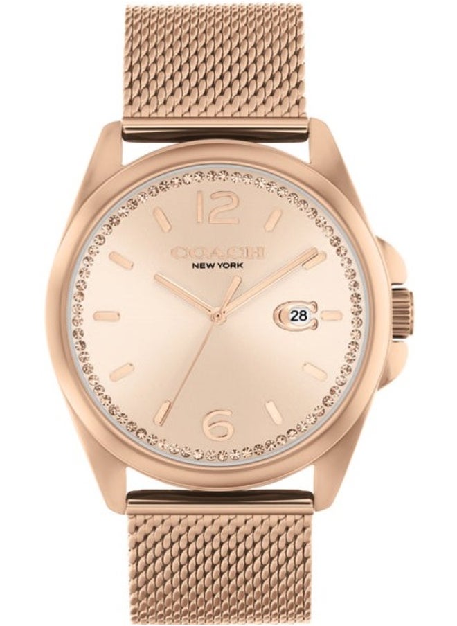 COACH Women's Gold Dial Analog Quartz Watch 41 mm -  14504253 