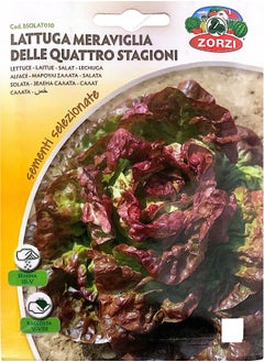 ZORZI Lettuce Seeds 
