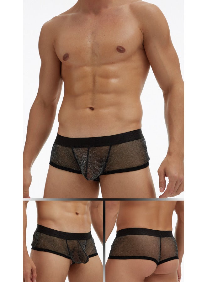 European And American Men's Underwear Perspective Fine Mesh Bag Low Waist Wide Brim Small Boxer Large Size E076