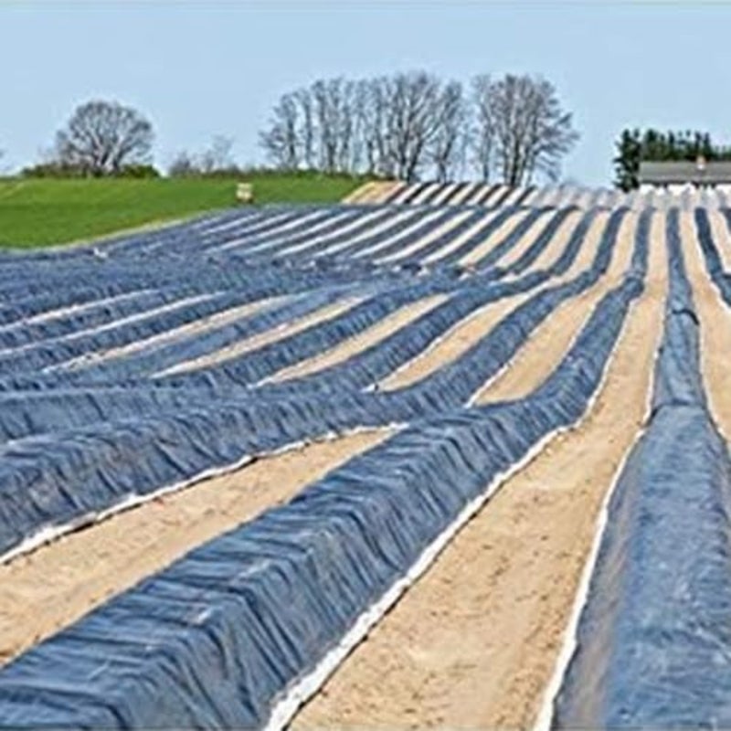 Waterproof Ground Cover Tent Shelter, Dust-proof Rain Cover Tarpaulin Sheet 7Mtr X 7Mtr - Image 2